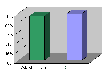 Cobactan-ceftiofur efficacy trials