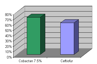 Cobactan - ceftiofur efficacy trial